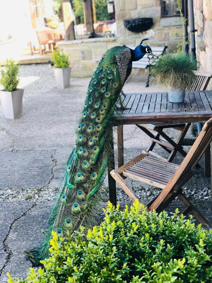 The Saddlery Cheshire Villa Congleton Luaran gambar