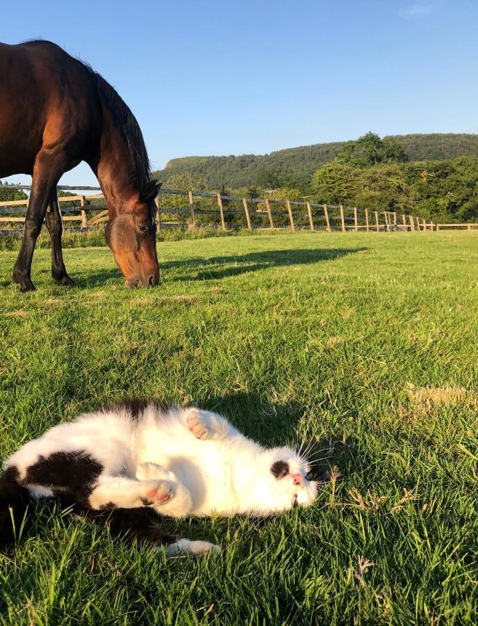The Saddlery Cheshire Villa Congleton Luaran gambar