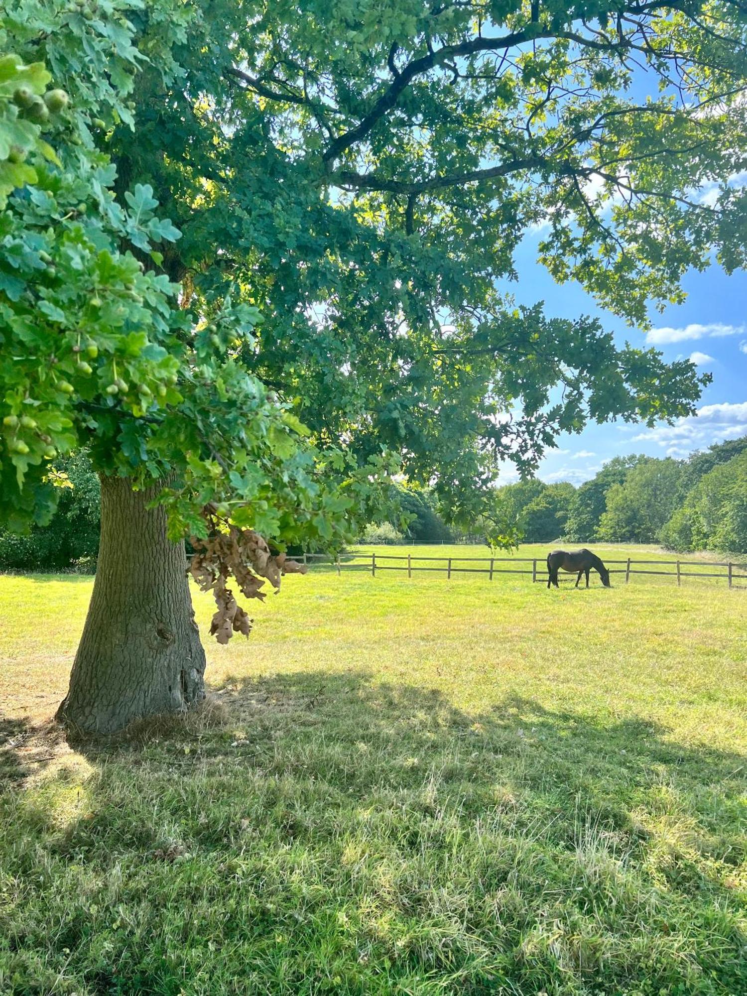 The Saddlery Cheshire Villa Congleton Luaran gambar